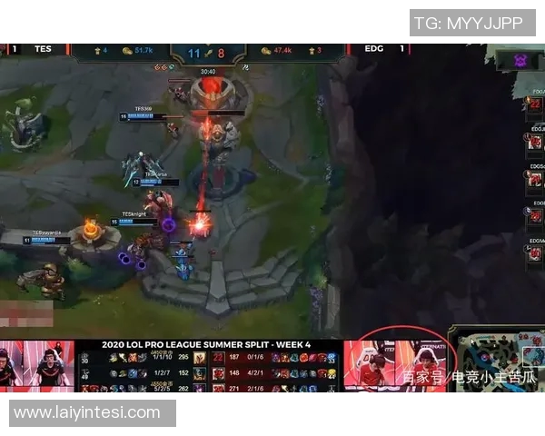 和平精英赛事技术排名TES再创新高引发玩家热议与期待实时新闻